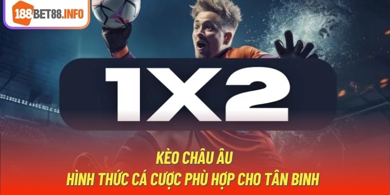 Kèo Châu u | Hình Thức Cá Cược Phù Hợp Cho Tân Binh