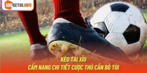 Kèo Tài Xỉu | Cẩm Nang Chi Tiết Cược Thủ Cần Bỏ Túi