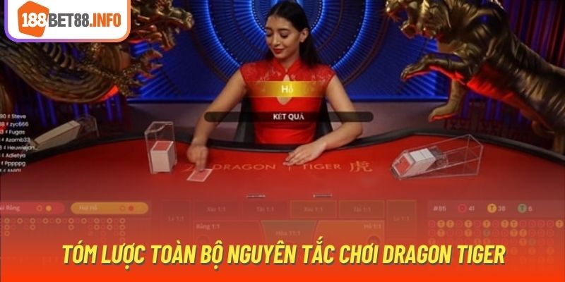 Tóm lược toàn bộ nguyên tắc chơi Dragon Tiger