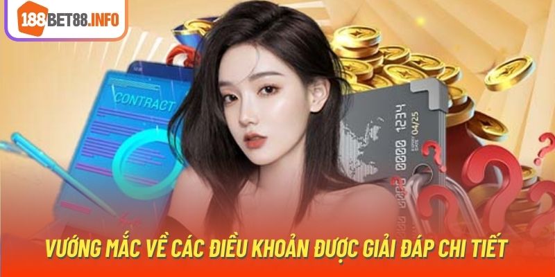 Vướng mắc về các điều khoản được giải đáp chi tiết