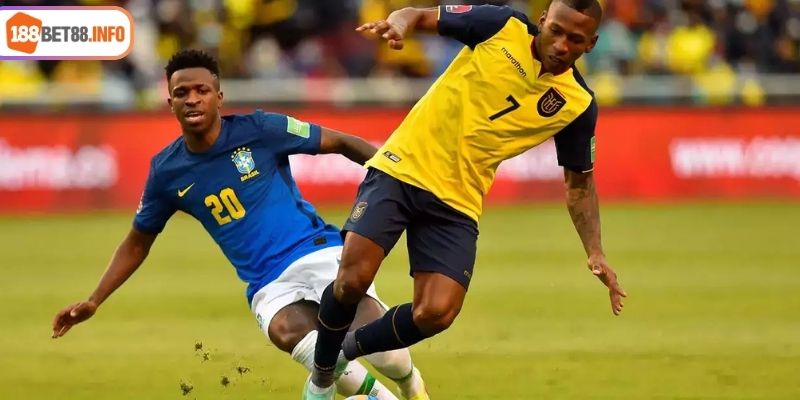 Soi kèo Brazil vs Ecuador: Điểm qua phong độ